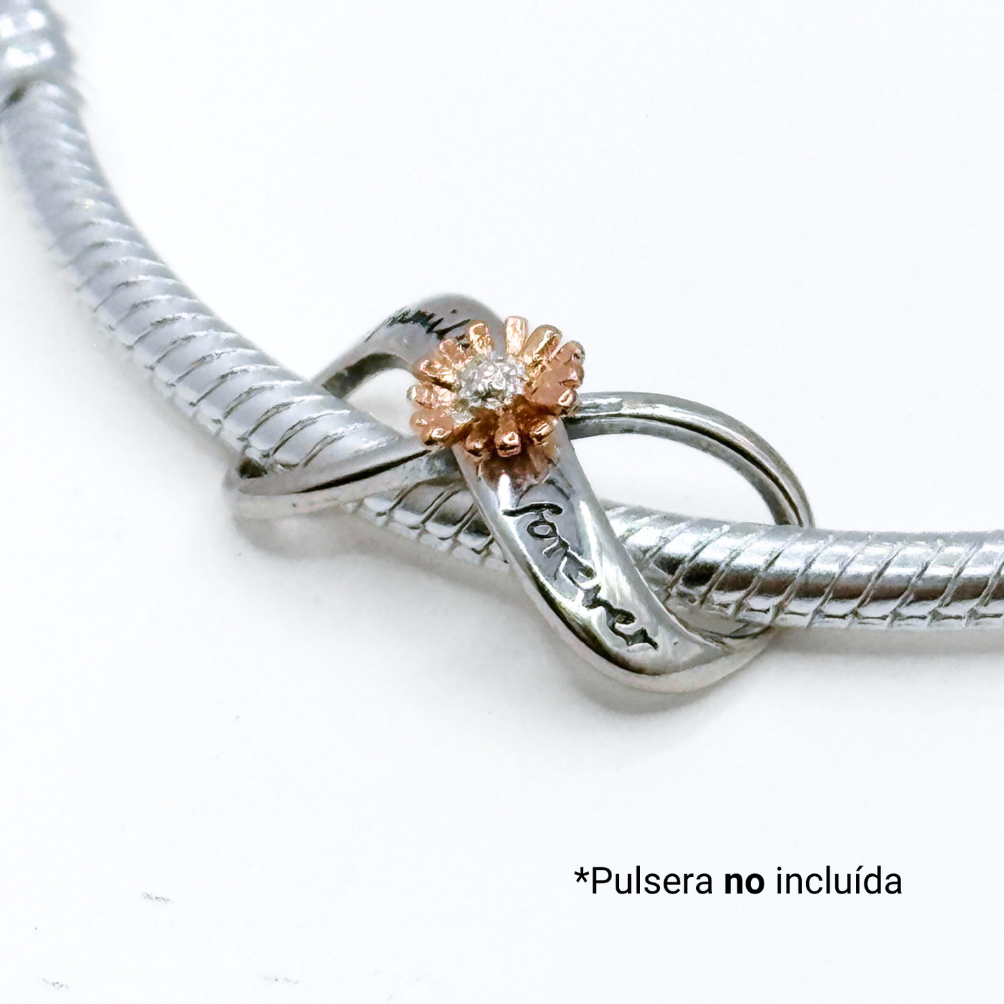Charm Infinito "Family Forever" - Silver