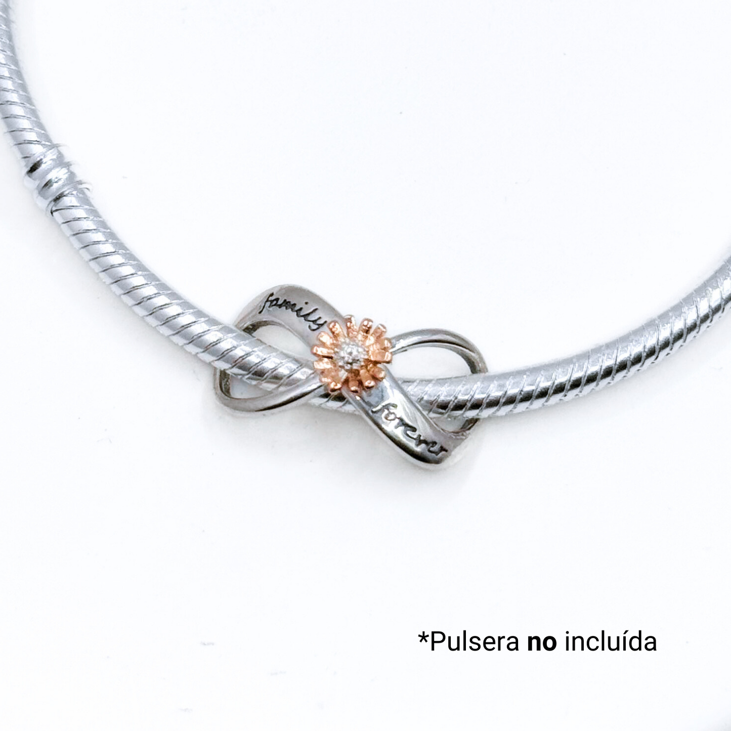 Charm Infinito "Family Forever" - Silver