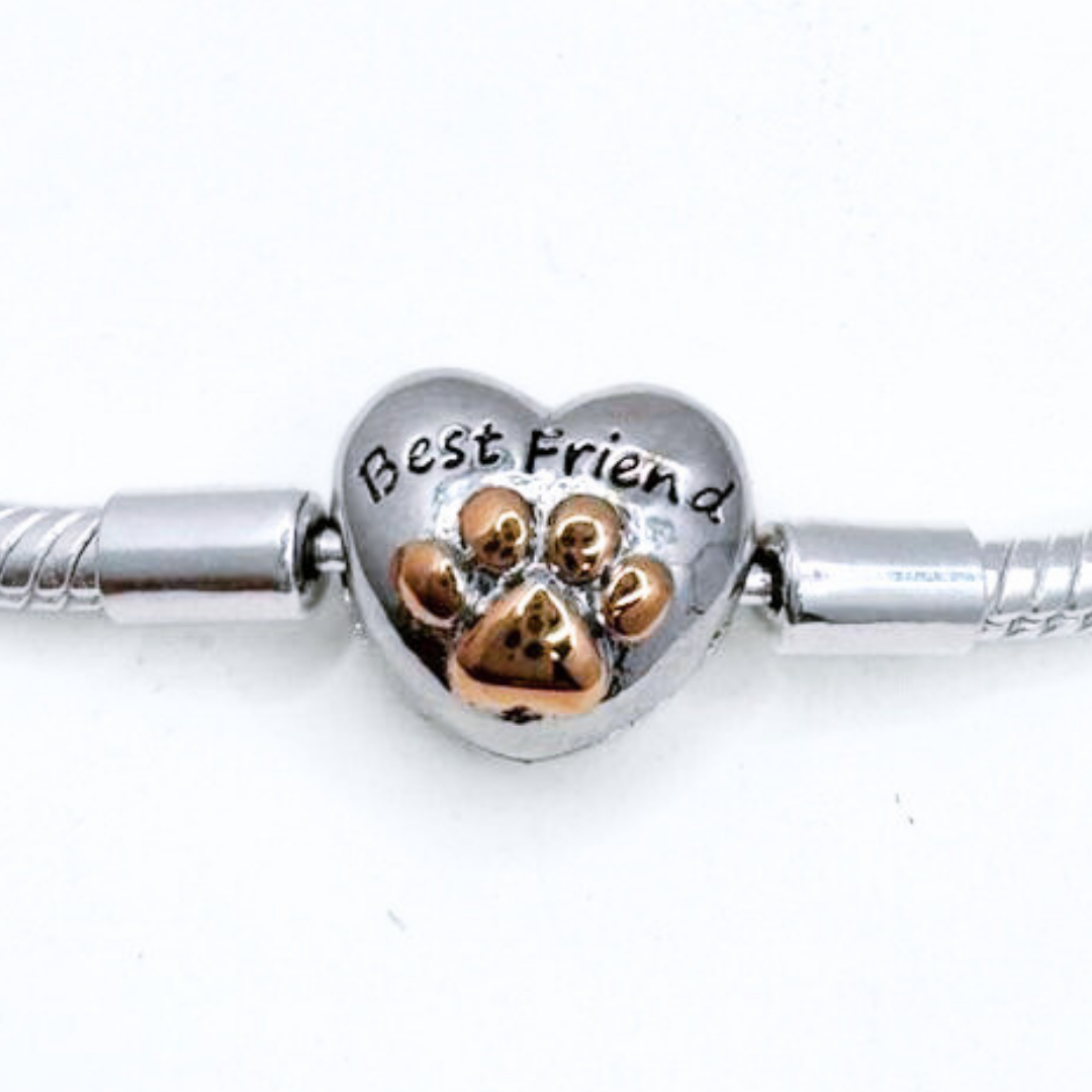Pulsera Charms Best Friends - Silver