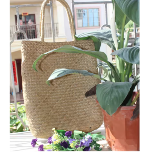 Tote Natura Rústico